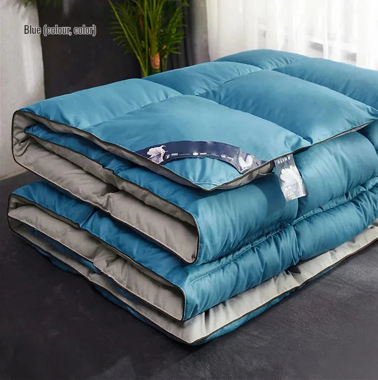 Couette épaisse en duvet d'oie blanche 95%, couette confortable et respirante, cadeau idéal pour les étudiants, noyau de couette épais en coton d'hiver