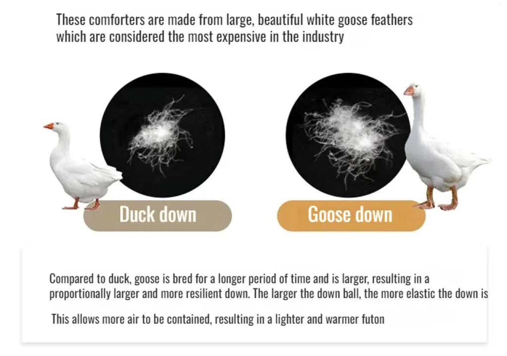 Couette épaisse en duvet d'oie blanche 95%, couette confortable et respirante, cadeau idéal pour les étudiants, noyau de couette épais en coton d'hiver