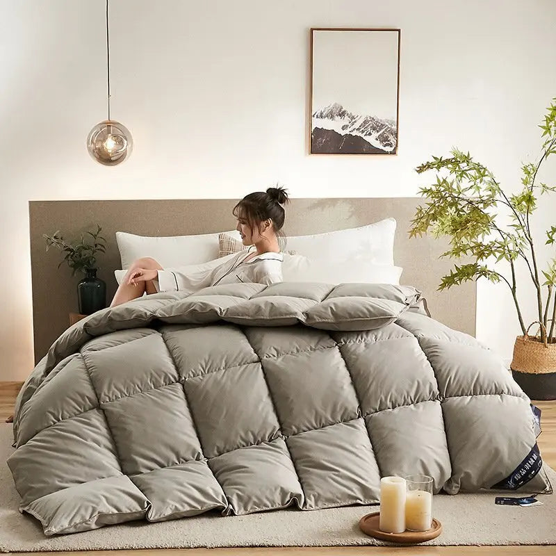 Couette épaisse en duvet d'oie blanche 95%, couette confortable et respirante, cadeau idéal pour les étudiants, noyau de couette épais en coton d'hiver