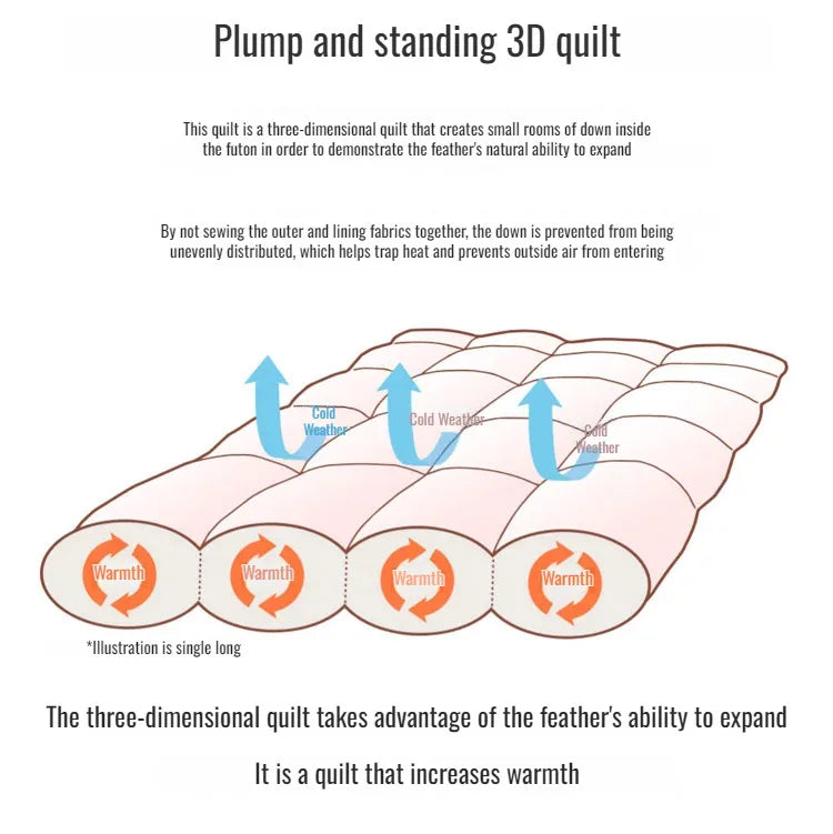 Couette épaisse en duvet d'oie blanche 95%, couette confortable et respirante, cadeau idéal pour les étudiants, noyau de couette épais en coton d'hiver