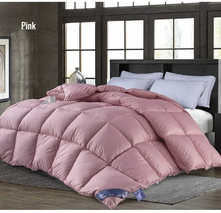 Couette épaisse en duvet d'oie blanche 95%, couette confortable et respirante, cadeau idéal pour les étudiants, noyau de couette épais en coton d'hiver
