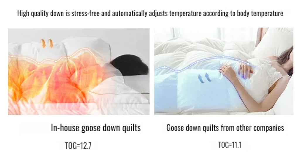 Couette épaisse en duvet d'oie blanche 95%, couette confortable et respirante, cadeau idéal pour les étudiants, noyau de couette épais en coton d'hiver