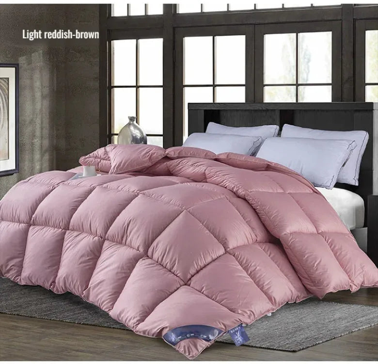 Couette épaisse en duvet d'oie blanche 95%, couette confortable et respirante, cadeau idéal pour les étudiants, noyau de couette épais en coton d'hiver