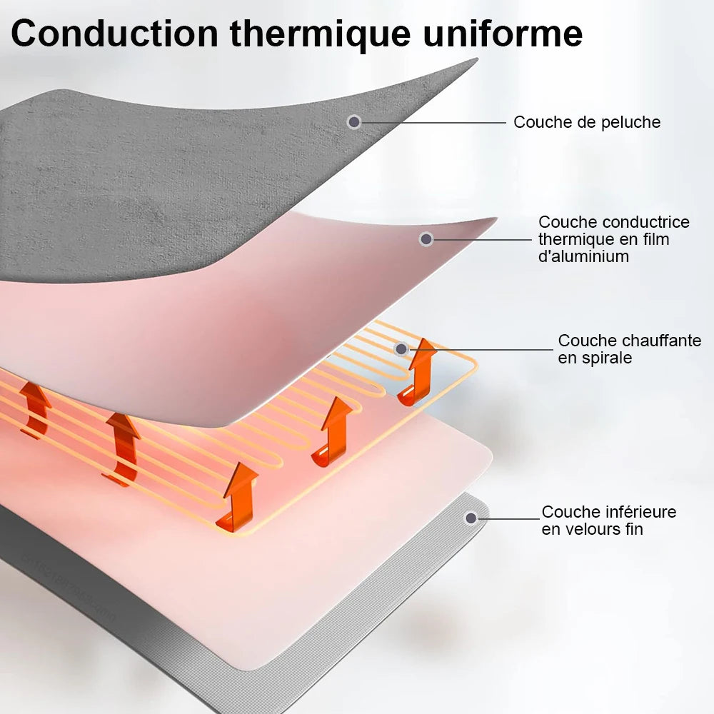 Couverture chauffante électrique avec thermostat automatique, matelas de lit, chauffe-corps double, tapis métropolitain, coussin en polymères, prise UE, 220V