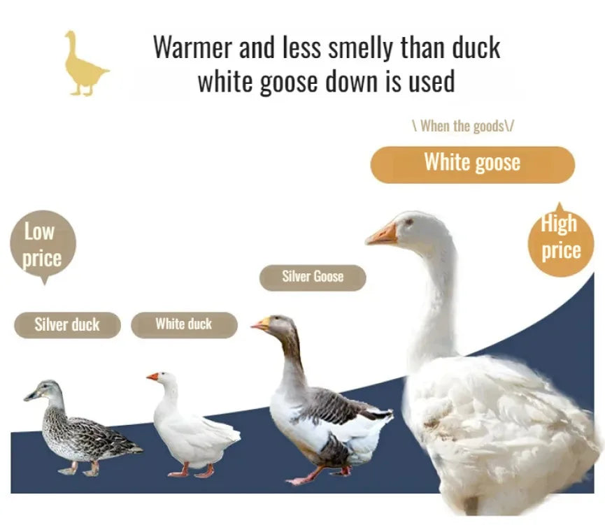 Couette épaisse en duvet d'oie blanche 95%, couette confortable et respirante, cadeau idéal pour les étudiants, noyau de couette épais en coton d'hiver